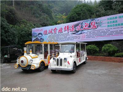  郴州电动观光车